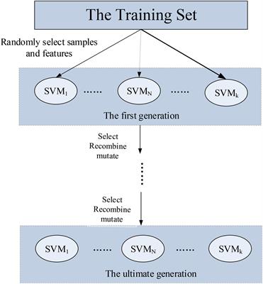 Analysis of Asperger Syndrome Using Genetic-Evolutionary Random Support Vector Machine Cluster